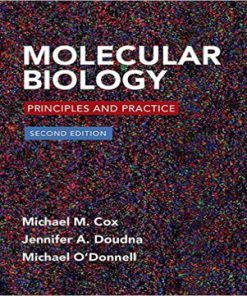 Molecular Biology Principles and Practice 2nd Edition Cox Doudna O’Donnell Test Bank