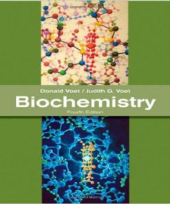 Biochemistry 4th Edition Voet Voet Test Bank