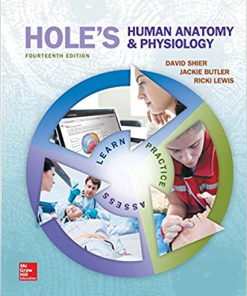 Test Bank for Hole’s Human Anatomy and Physiology 14th Edition