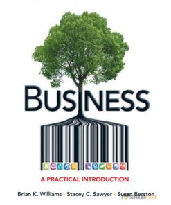 Test Bank for Business: A Practical Introduction : 0133034003