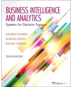 Test Bank for Business Intelligence and Analytics: Systems for Decision Support, 10/E 10th Edition : 0133050904