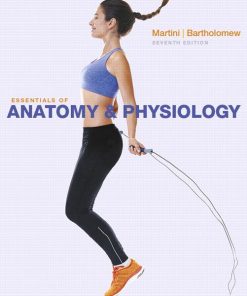 Test Bank for Essentials of Anatomy and Physiology 7th Edition by Martini