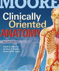 Test Bank Clinically Oriented Anatomy 7th Edition Moore – Agur – Dalley