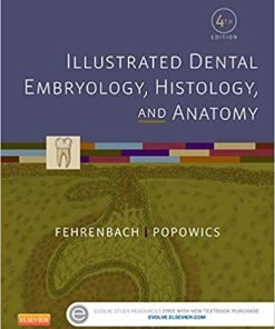 Test Bank for Illustrated Dental Embryology, Histology, and Anatomy 4th Edition