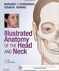 Solution Manual for Illustrated Anatomy of the Head and Neck 5th by Fehrenbach