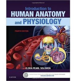 Test Bank for Introduction to Human Anatomy and Physiology 4th Edition by Pearl Solomon