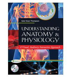 Test Bank for Understanding Anatomy and Physiology by Thompson