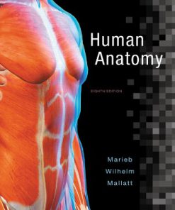 Test Bank for Human Anatomy 8th Edition Marieb