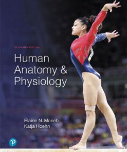 Test Bank for Human Anatomy and Physiology 11th Edition Marieb