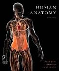 Test bank for Human Anatomy 7th 9780321687944 – Frederic H. Martini