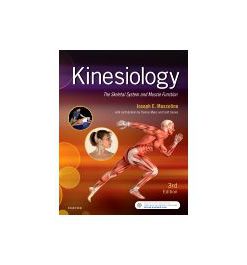 Test Bank for Kinesiology 3rd Edition by Muscolino