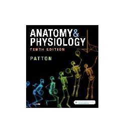 Test Bank for Anatomy and Physiology 10th Edition By Patton