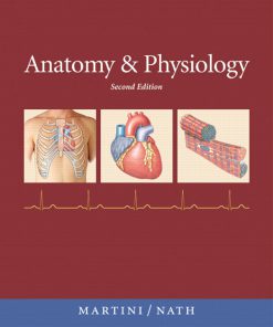 Test Bank for Anatomy and Physiology 2nd Edition by Martini