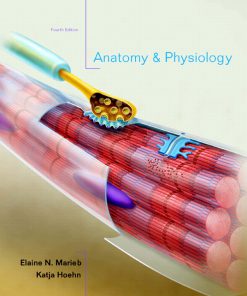 Test Bank for Anatomy and Physiology 4th Edition by Marieb