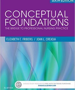 Conceptual Foundations The Bridge Professional Nursing 6th Edition Friberg Creasia Test Bank