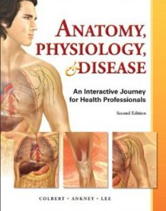 Test Bank for Anatomy Physiology and Disease An Interactive Journey for Health Professions, 2nd Edition : Colbert