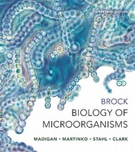 Brock Biology of Microorganisms Madigan 13th Edition Test Bank