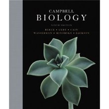 Campbell Biology Reece Urry Cain 9th Edition Test Bank