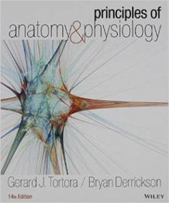 Test Bank for Principles of Anatomy and Physiology 14th Edition Gerard J Tortora Download