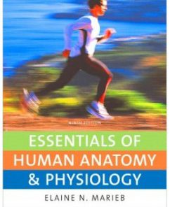 Test Bank for Essentials of Human Anatomy and Physiology, 9th Edition: Elaine N. Marieb