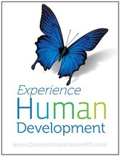 Experience Human Development Papalia 12th Edition Test Bank