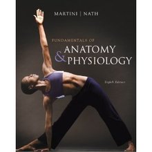 Fundamentals of Anatomy & Physiology Martini 8th Edition Test Bank