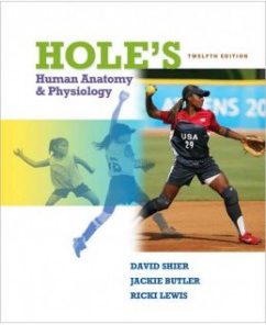 Test Bank for Hole’s Human Anatomy & Physiology, 12th Edition: David Shier