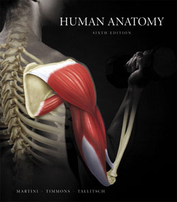 Test Bank for Human Anatomy, 6th Edition: Martini