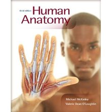 Human Anatomy McKinley 3rd Edition Test Bank