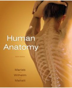 Test Bank for Human Anatomy, 6th Edition: Elaine N. Marieb