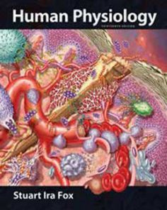 Test Bank for Human Physiology, 13th Edition: Fox