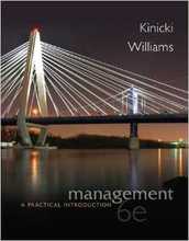 Management A Practical Introduction Kinicki 6th Edition Solutions Manual