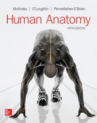 Test Bank for Human Anatomy 5th Edition By McKinley