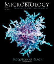 Microbiology Principles and Explorations Black 8th Edition Test Bank