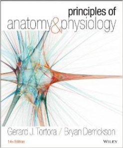 Principles of Anatomy and Physiology Tortora 14th Edition Test Bank