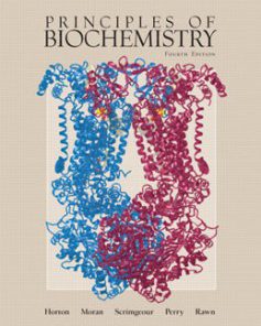 Test Bank for Principles of Biochemistry, 4th Edition: Horton