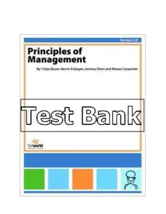 Principles of Management V30 3rd Edition Erdogan Test Bank