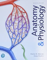 Anatomy & Physiology 7th Editionby Elaine Marieb Test Bank 