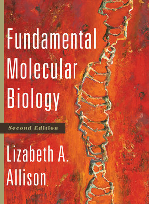 Allison Fundamental Molecular Biology, 2nd Edition Test Bank 