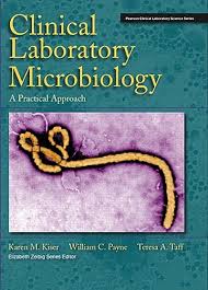 Clinical Laboratory Microbiology A Practical Approach Karen Kiser William Payne Theresa Taff Test Bank 