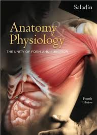 Anatomy & Physiology Saladin 4th EditionTest Bank 