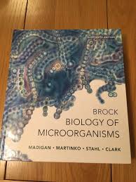 Biology for Microorganisms 13th edition by Brock Test Bank 